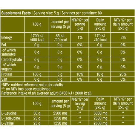 100% BCAA (400 g) Biotech USA