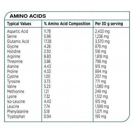 Plant Based Protein, Vanilla Bean - 600g